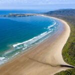 Dunedin to Te Anau via the Catlins One Way Small Group Tour - A Clear Look at the Itinerary and Its Highlights