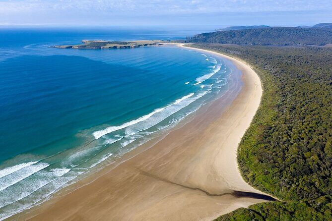 Dunedin to Te Anau via the Catlins One Way Small Group Tour - A Clear Look at the Itinerary and Its Highlights