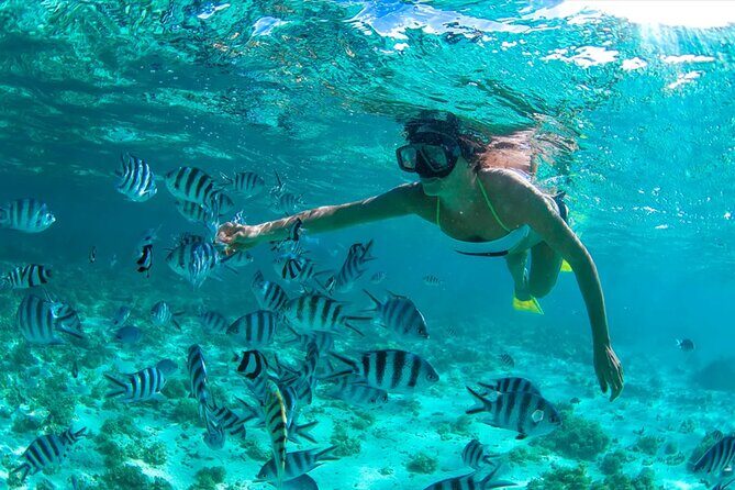 Dunes Snorkeling Tour Outside Santo Domingo - The Sum Up