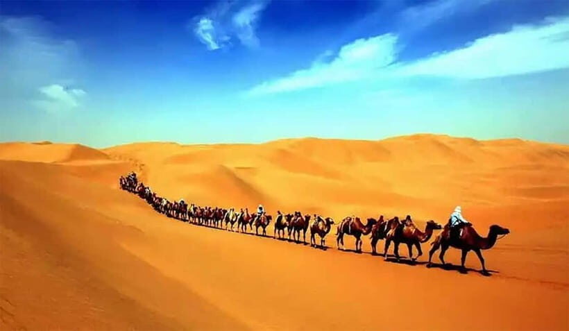 Dunhuang: Mingsha Mountain, Crescent Lake & Museum Tour - Summary: Who Will Enjoy This Tour?