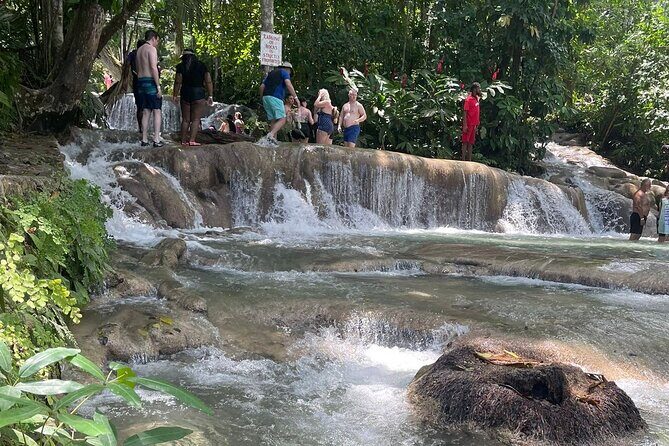 Dunn River Falls from Montego Bay Private Tour - What You Can Expect from the Dunn River Falls Private Tour