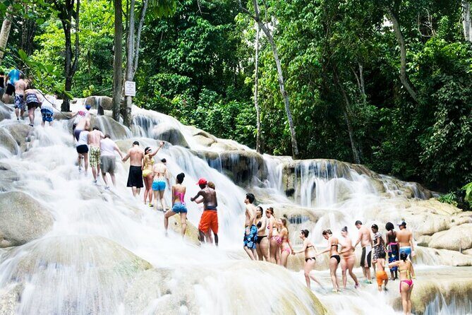 Dunn's River Falls and Horseback Riding Tour from Montego Bay - What Travelers Can Expect