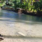 Dunn's River Falls and Lunch at Aquaville - What to Expect at Dunns River Falls