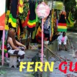 Dunn's River Falls and OchoRios Highlight View Scenic Fern Gully - Transport & Timing: What You Need to Know