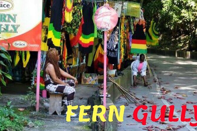 Dunn's River Falls and OchoRios Highlight View Scenic Fern Gully - Transport & Timing: What You Need to Know