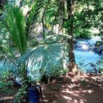 Dunns River Falls & Blue Hole in ocho Rios frm Negril/Montego Bay - Details and Practicalities
