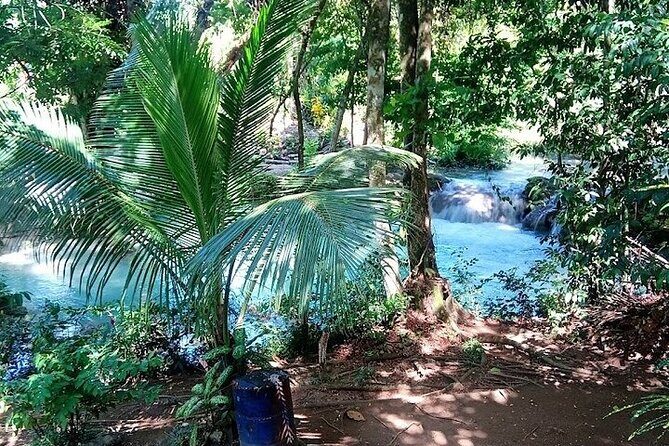 Dunns River Falls & Blue Hole in ocho Rios frm Negril/Montego Bay - Details and Practicalities