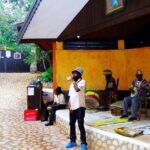 Dunns River Falls & Bob Marley - Who Will Love This Tour?