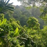 Dunns River Falls Mahogany Beach and Hilltop Lookout Tour - What’s Included and What to Consider