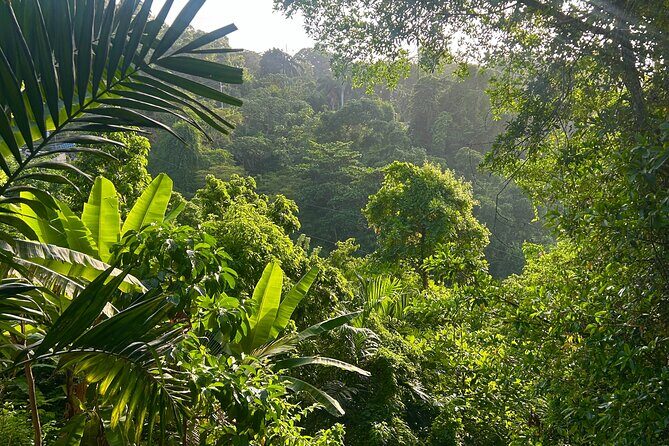 Dunns River Falls Mahogany Beach and Hilltop Lookout Tour - What’s Included and What to Consider