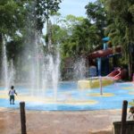 Dunn's River Falls Tour - The Journey: Transport, Timing, and Group Size