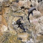 Dunsborough Eco and Snorkel Boat Tour - What’s Included and What’s Not