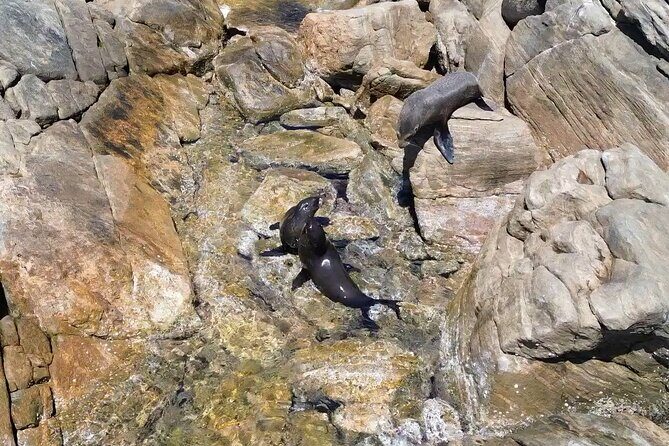 Dunsborough Eco and Snorkel Boat Tour - What’s Included and What’s Not