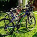 Dutch Fort and City by Bicycle from Galle - What to Expect on the Tour