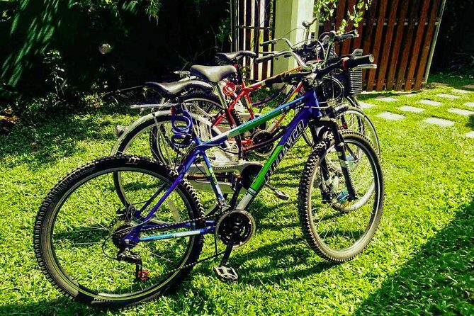 Dutch Fort and City by Bicycle from Galle - What to Expect on the Tour