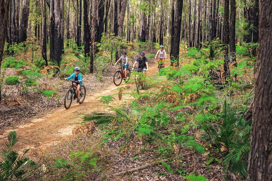 Dwellingup: Munda Biddi Explorer - Who Is This Tour Best For?