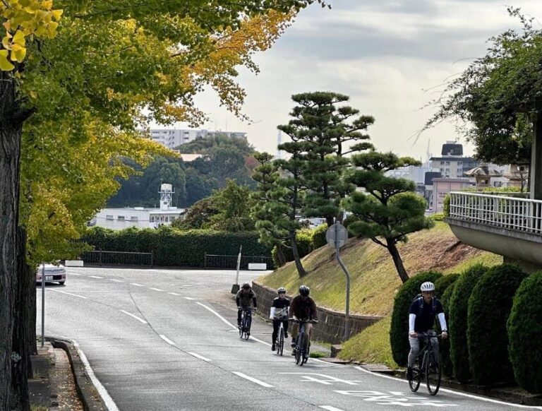 e-bike tour Himeji Castle Town along the old roads - What’s Included & What’s Not