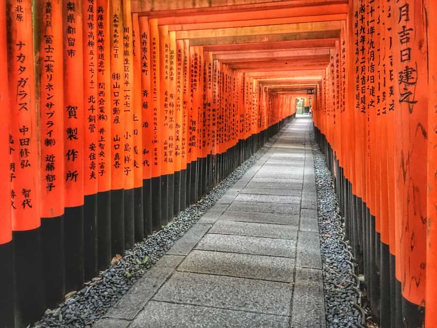Early Bird Hike from Fushimi Inari to Kiyomizu Temple - Hiking Through Kyoto’s Hills and Neighborhoods