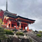 Early Morning Walking Tour: Historic Temples and Shrines - Practical Details and Value