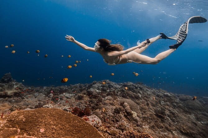 East Coast of Nusa Penida Private Snorkeling - The Practical Side of Things