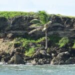 East Coast Private Tour of Barbados - What’s Included and What You’ll Need to Consider