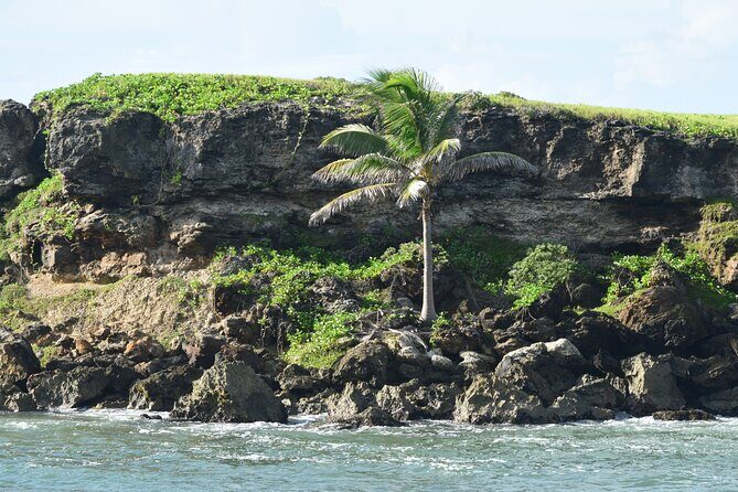 East Coast Private Tour of Barbados - What’s Included and What You’ll Need to Consider