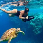 Eco Friendly Sea Scooter Turtle Tour in Rarotonga - The Sum Up: Who Is This Tour Perfect For?