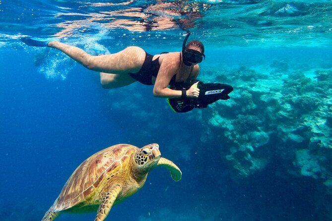 Eco Friendly Sea Scooter Turtle Tour in Rarotonga - The Sum Up: Who Is This Tour Perfect For?