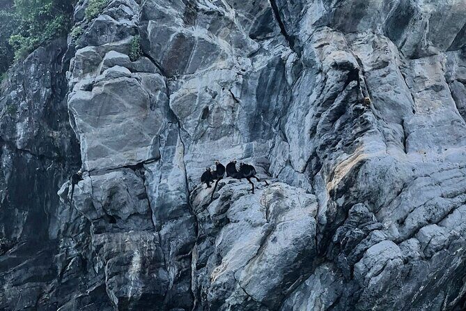 Eco Night Kayak Cruise: Bioluminescent Plankton in Lan Ha Bay - Value and Practicality