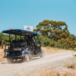 EcoVine Explorer Vineyard E-Cart Tours - Who Should Consider the EcoVine Explorer Vineyard E-Cart Tour?