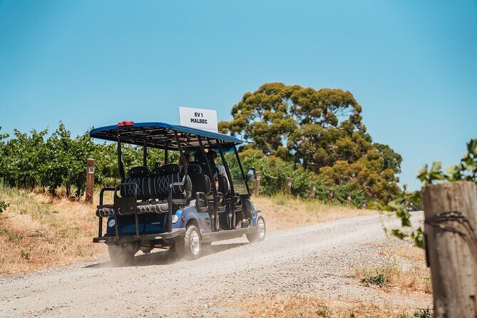 EcoVine Explorer Vineyard E-Cart Tours - Who Should Consider the EcoVine Explorer Vineyard E-Cart Tour?