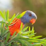 Eden: Sapphire Coast 4 Hour Shore Excursion - Who Will Enjoy This Tour?