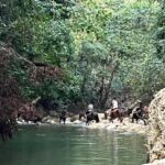 El Limon: Horse Ride Waterfall Waterfall Jump - Practical Details and What to Expect