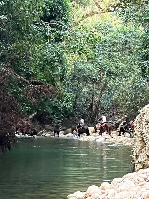 El Limon: Horse Ride Waterfall Waterfall Jump - Practical Details and What to Expect