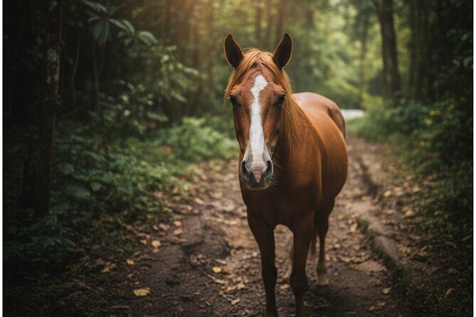 El Limón Waterfall Guided Hike and Horseback Adventure in RD - What Makes This Tour Stand Out?