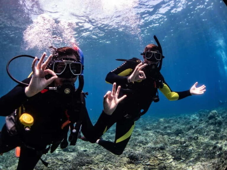 El Nido: Deep Blue Dive Seafari Experience - The Sum Up