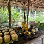 El Nido: Farm Tour, Snorkeling, Dinner, and Nipa Hut Stay - Why We Think This Tour Offers Great Value
