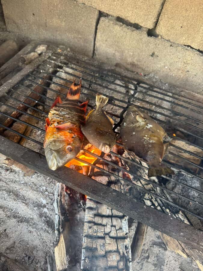 El Nido: Fishing & Snorkeling on a Private Island - Who Will Love This Tour?