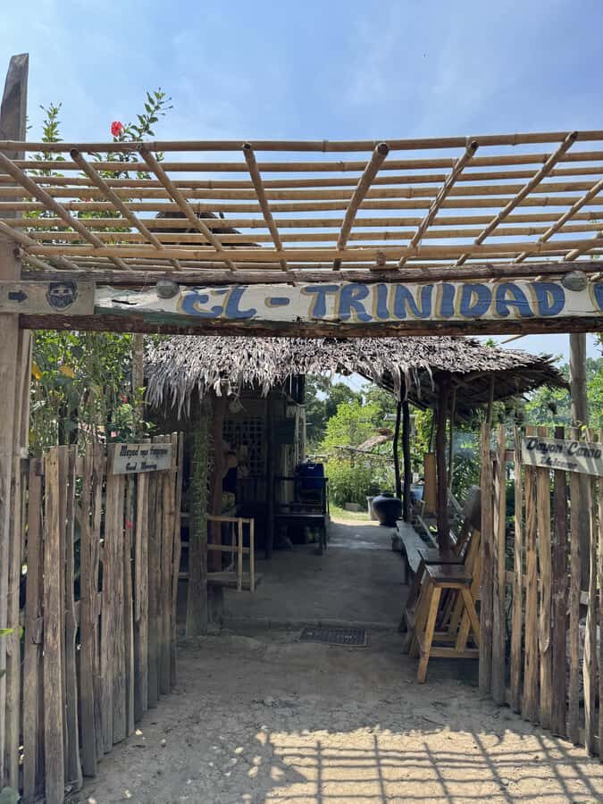 El Nido, Sibaltan: Local Organic Farm Tour & Product Tasting - Why You Should Consider This Tour