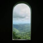 El Yunque Educational Rainforest Walk Easy and Family Friendly - Who Would Love This Tour?
