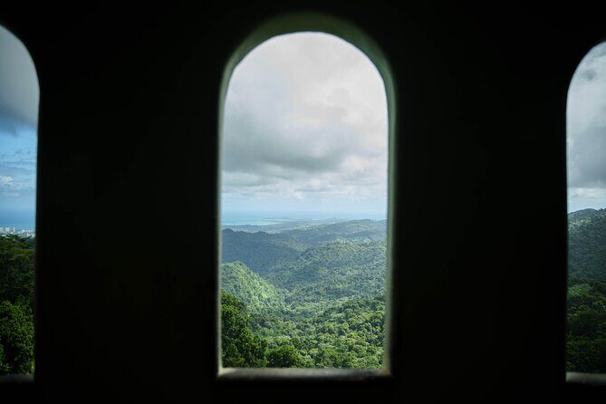 El Yunque Educational Rainforest Walk Easy and Family Friendly - Who Would Love This Tour?