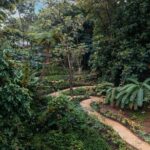 El Yunque Rainforest EZ-going Bus Tour (wheelchair accessible) - Final Thoughts