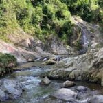 El Yunque Rainforest Hidden Waterpark Tour from San Juan - In-Depth Breakdown of the Itinerary