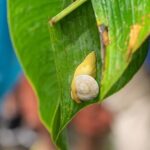 El Yunque Rainforest Tour from Fajardo - Final Thoughts