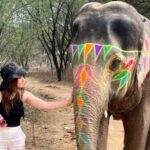 Elefun Best Elephant Sanctuary in Jaipur - What Sets This Experience Apart?