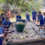 Elephant Care and Sticky Waterfalls (Bua Thong Waterfalls) Tour - Climbing the Bua Thong Waterfalls
