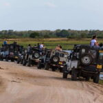 Elephant Jeep Safari at Minneriya National Park - Good To Know
