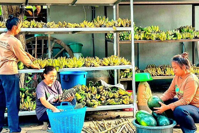 Elephant Nature Care, the largest elephant sanctuary on Koh Samui - Transportation & Duration