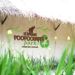 Elephant Poopoopaper Park Entry Ticket - What to Expect During Your Visit