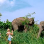 Elephant Sanctuary Small Group Tour in Phuket - The Practical Side: Value and Logistics